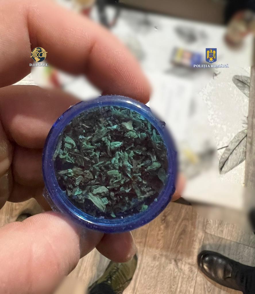 Capturile de droguri continuă în lupta anti-drog începută de Predoiu. Intervenție în forță a structurilor de ordine