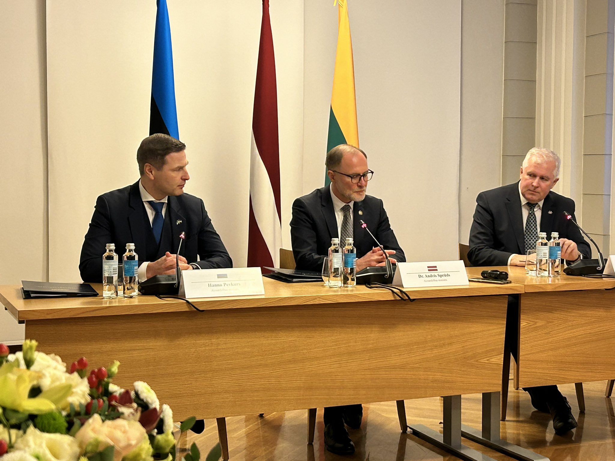 Statele baltice vor construi o linie de apărare comună la graniţa lor cu Rusia şi Belarus. „Va opri trupele agresorului”