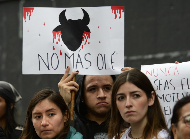 SCJN revoked suspensión and Bullfighting returns in Mexico
