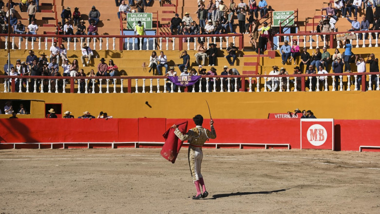 Bullfighting continues with limits as it becomes less popular in Mexico