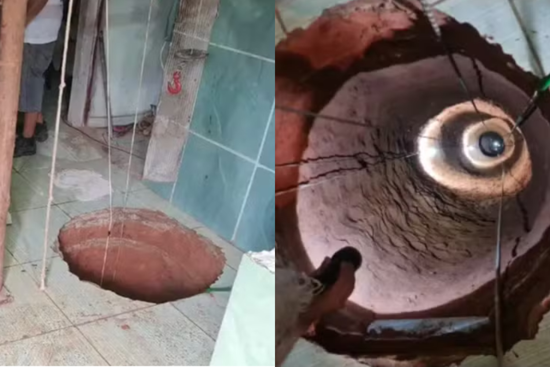 Un bărbat a săpat o groapă de 40 m sub podeaua bucătăriei, pentru că a visat că va găsi aur. S-a împiedicat, a căzut în ea și a murit