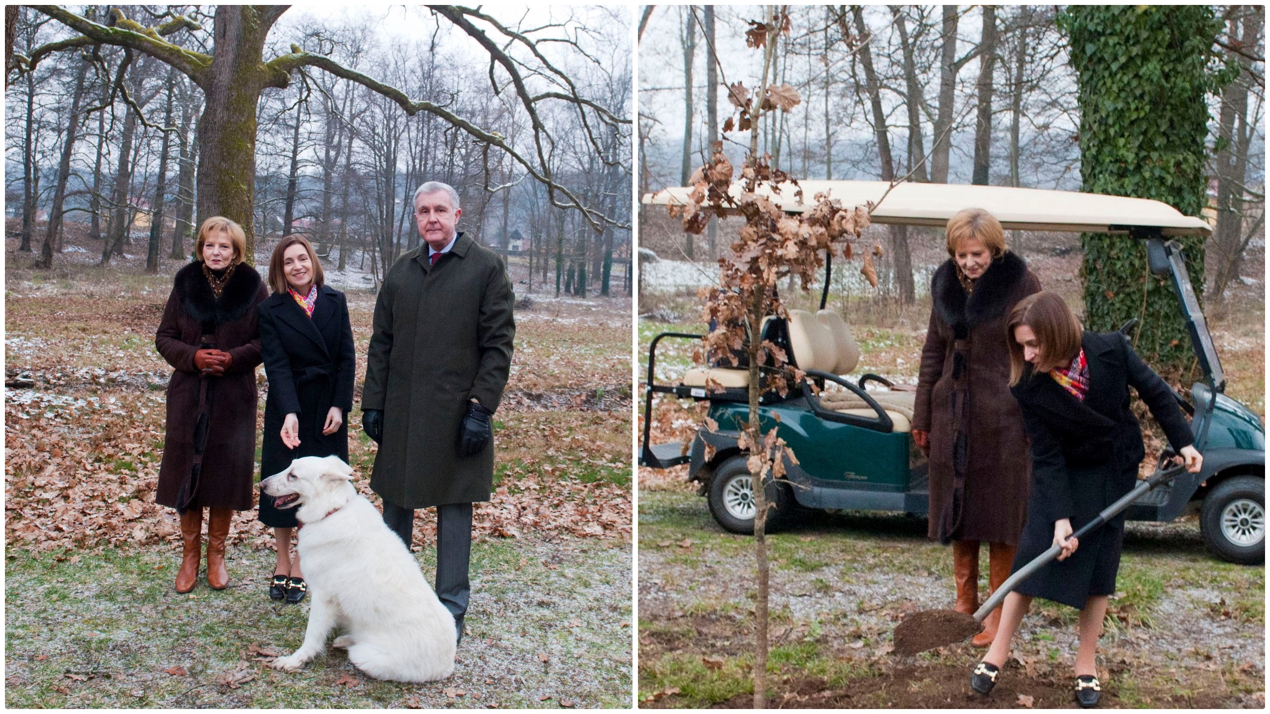Maia Sandu a plantat un stejar la Castelul Regal de la Săvârşin. „I-am mulţumit Majestăţii Sale pentru sprijinul său ferm”