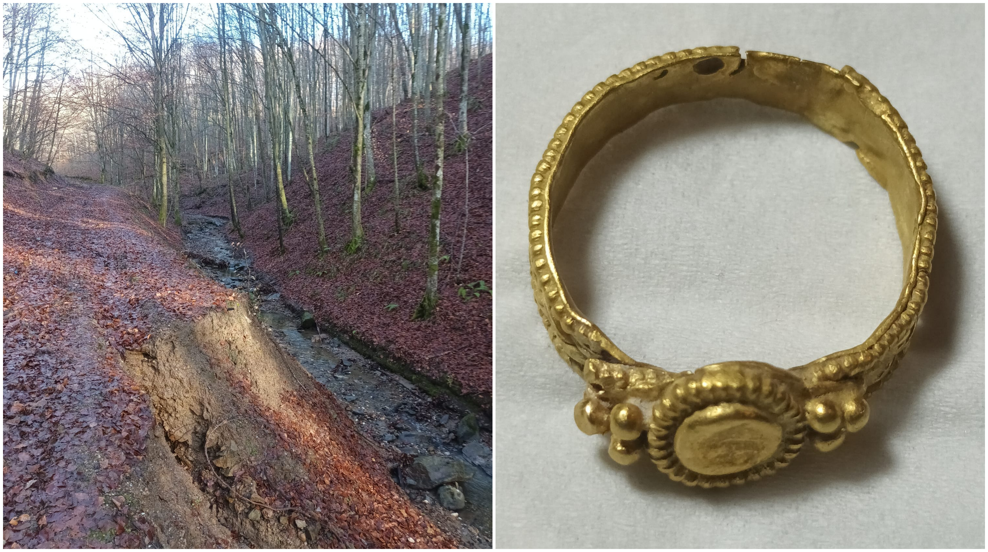 Descoperire arheologică rară într-o pădure din Bihor: inel din aur vechi de 1.500 de ani