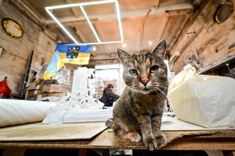 Making winter camouflage netting in Zaporizhzhia