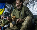 pisici-ucraina-război-2