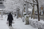 iarna-zapada-bucuresti-trafic-parc_INQUAM_Photos_Octav_Ganea2