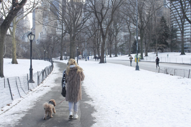 People Enjoying New York City's Hit Snow And Cold - 20 Jan 2024