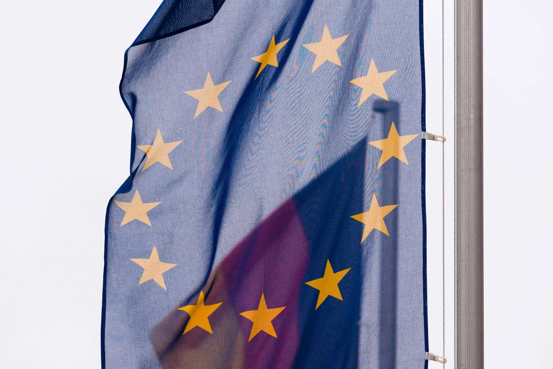 Referendum pentru „Dexit”. Partidul de extremă dreapta AfD vrea scoaterea Germaniei din UE