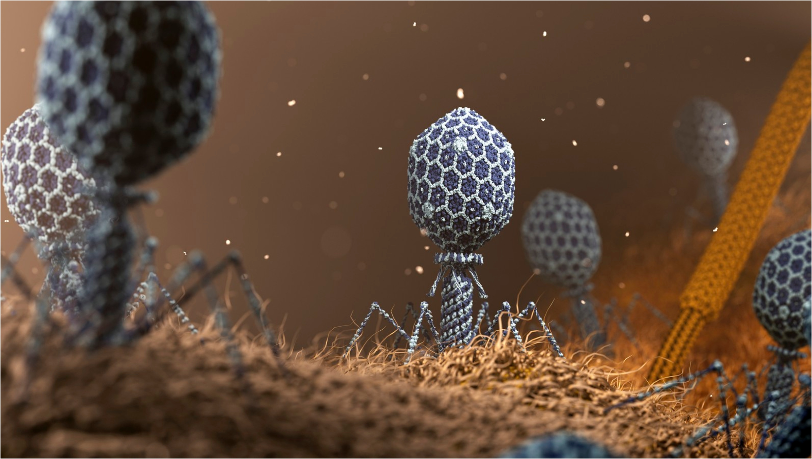 Tehnologia revoluționară care ar putea crea noi forme de viață: de la virusuri concepute de inteligența artificială la „Darwin 2.0”