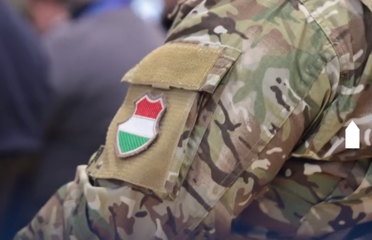 Ungaria începe instruirea militară pe bază de voluntariat a funcţionarilor publici