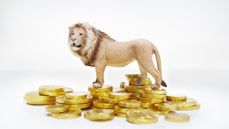 leul se lupta cu valutele straine
