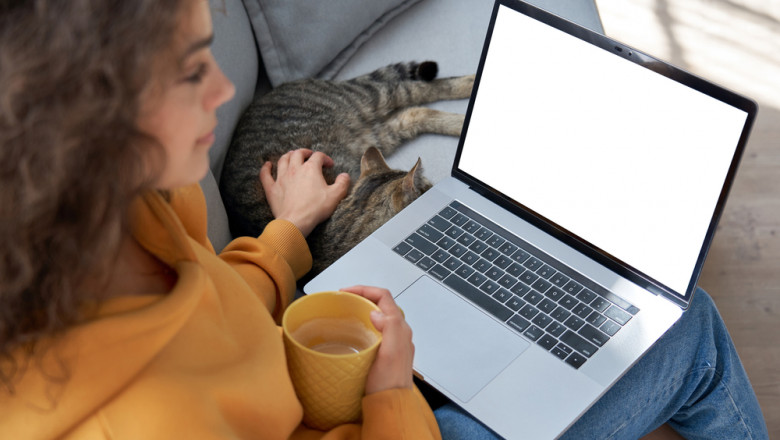 femeie la laptop mangaind pisica