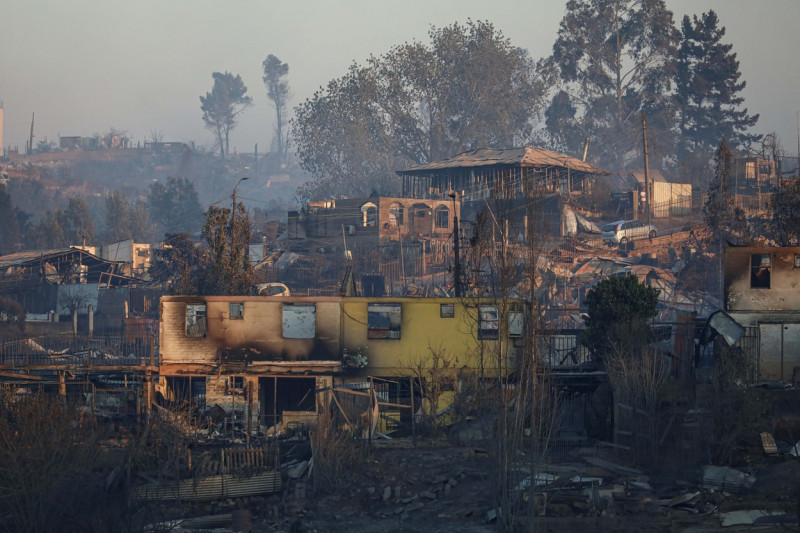 Forest fires affect central-southern Chile