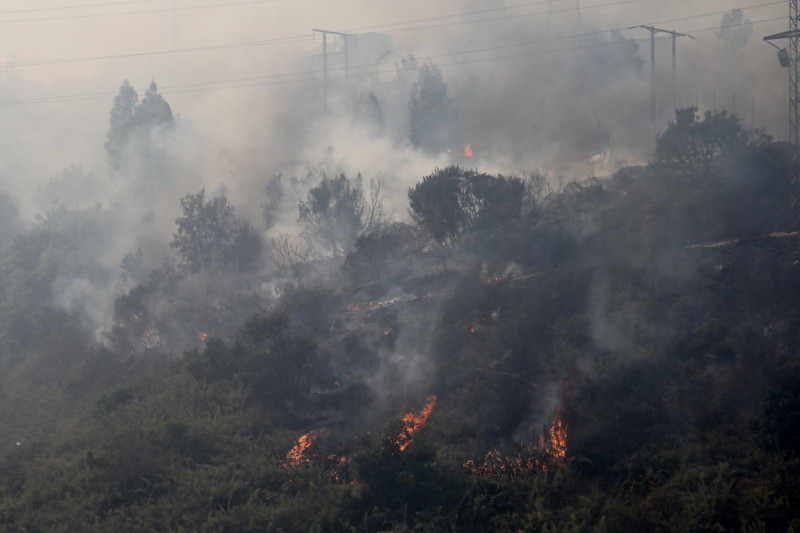 Forest fires affect central-southern Chile