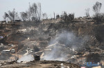 Forest fires affect central-southern Chile