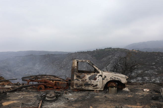 Forest fires affect central-southern Chile