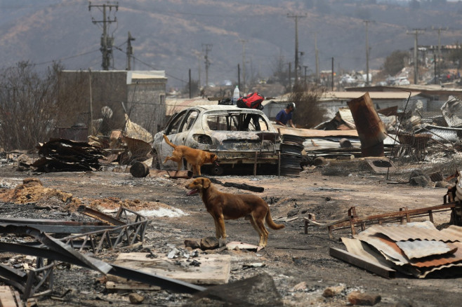 Forest fires affect central-southern Chile