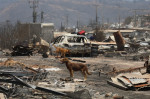 Forest fires affect central-southern Chile