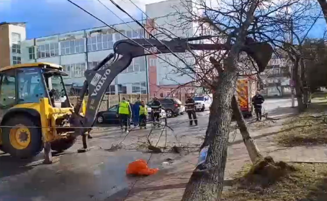 VIDEO Vijelii de proporții în țară. Copaci căzuți pe șosea, acoperișuri smulse de vânt. La mare, porturile au fost închise