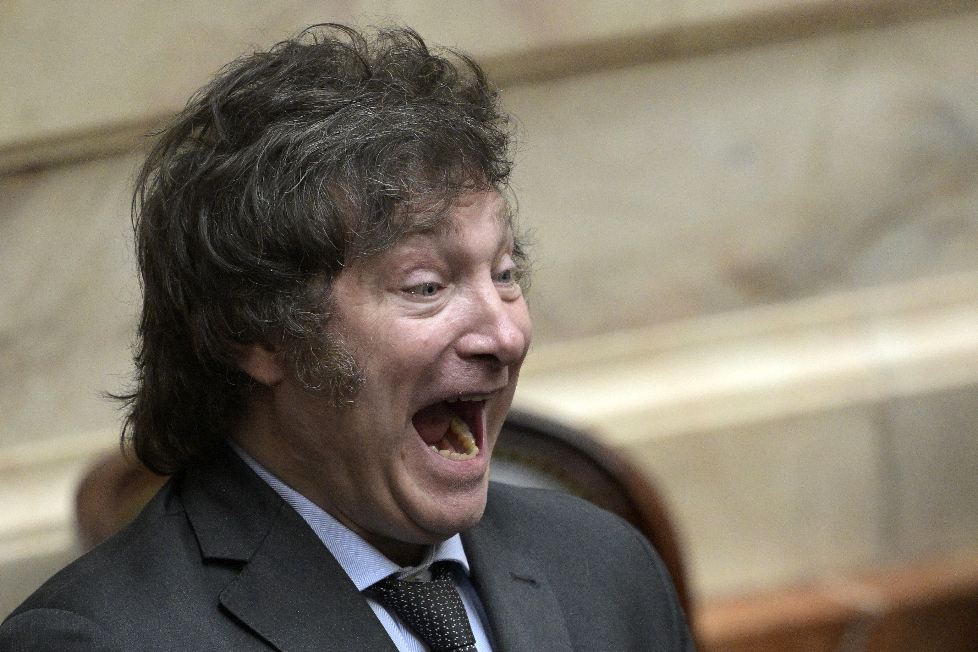 Partidul preşedintelui Javier Milei a câştigat detaşat alegerile parlamentare de la jumătatea mandatului în Argentina