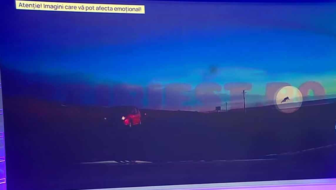 VIDEO Momentul în care un șofer din Vaslui este proiectat din mașină, în urma unui accident. Tânărul de 18 ani a scăpat cu răni minore