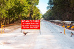 MILLIONS OF RED CRAB MIGRATION, ROADS CLOSED