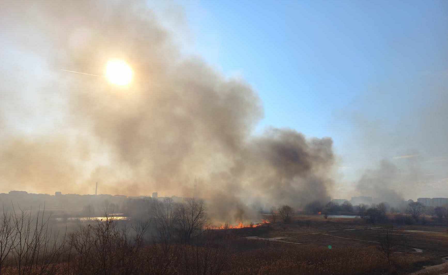 Incendiu puternic în Delta Văcărești. 1,5 hectare de teren, cuprinse de flăcări. A fost emis mesaj RO-Alert
