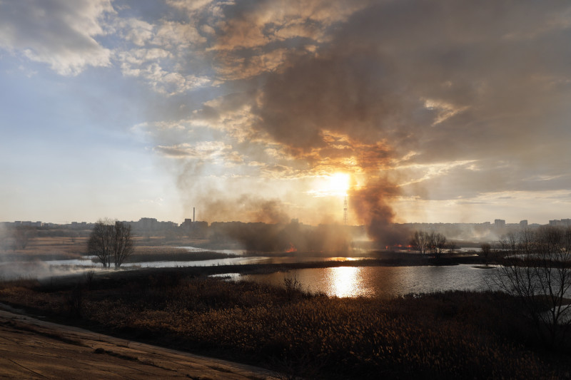 Incendiu de vegetație în Delta Văcărești din București (8)