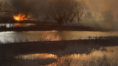 Incendiu de vegetație în Delta Văcărești din București (6)
