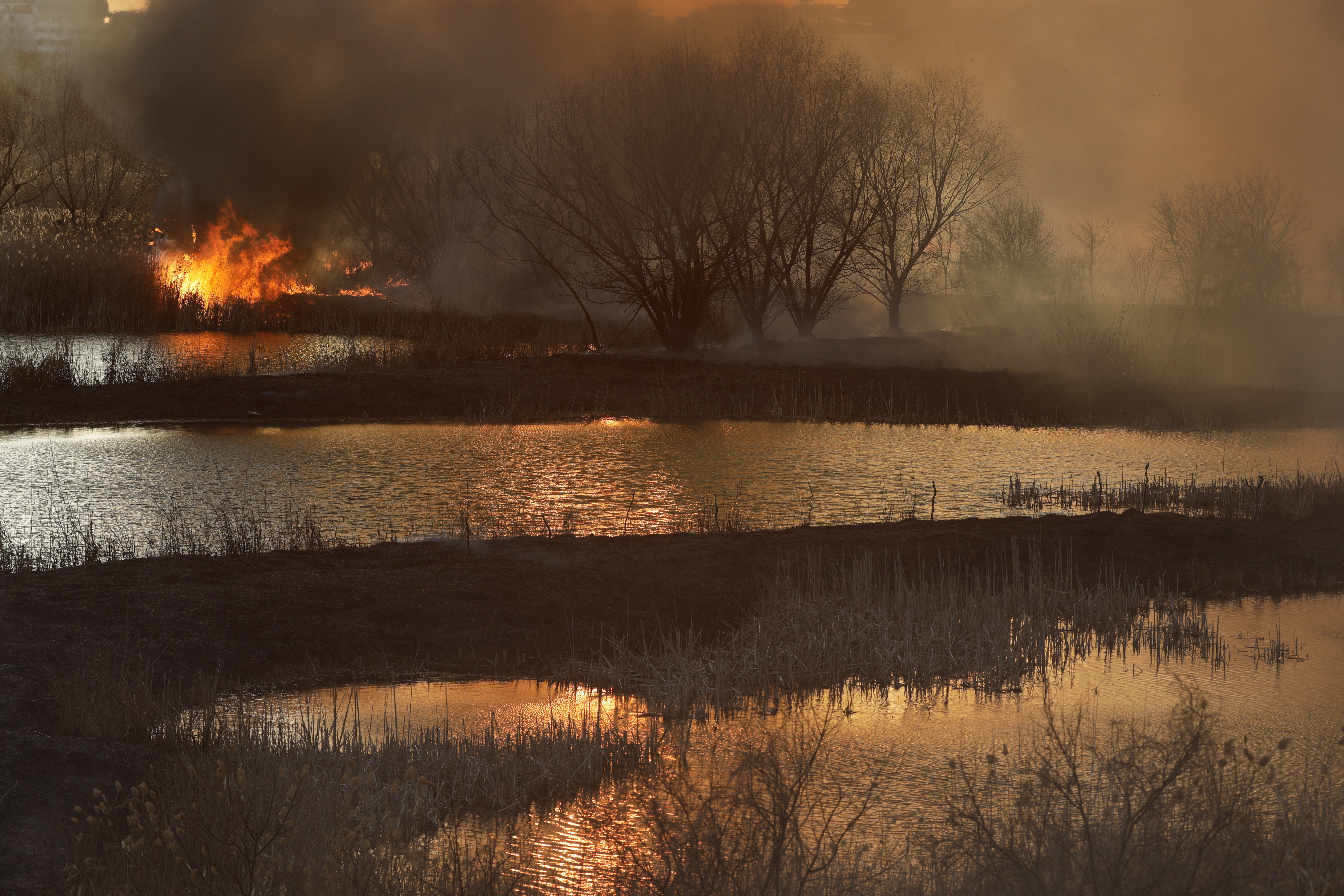 Incendiul puternic din Delta Văcărești a fost stins