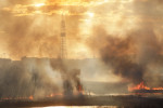 Incendiu de vegetație în Delta Văcărești din București (4)