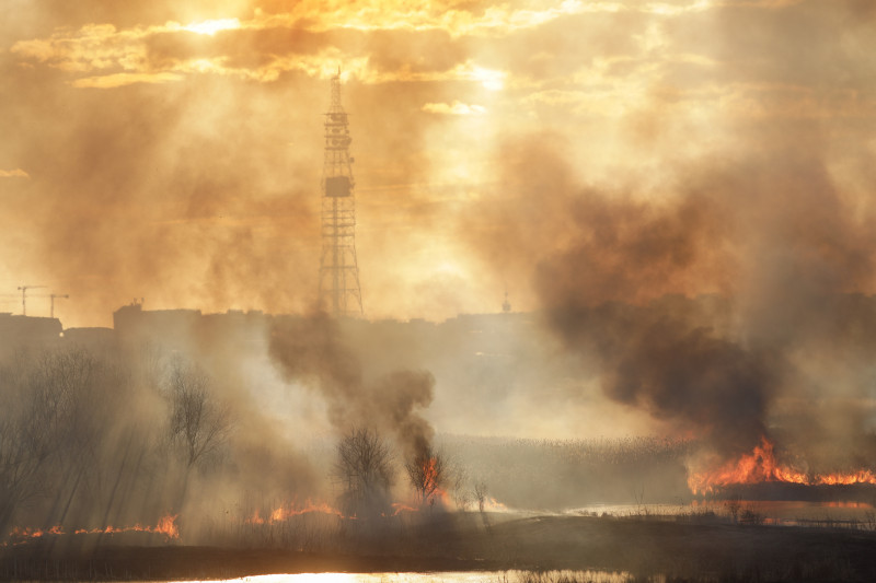 Incendiu de vegetație în Delta Văcărești din București (4)