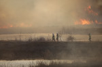 Incendiu de vegetație în Delta Văcărești din București (2)