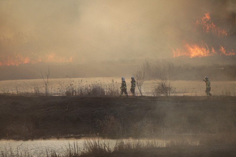 Incendiu de vegetație în Delta Văcărești din București (2)