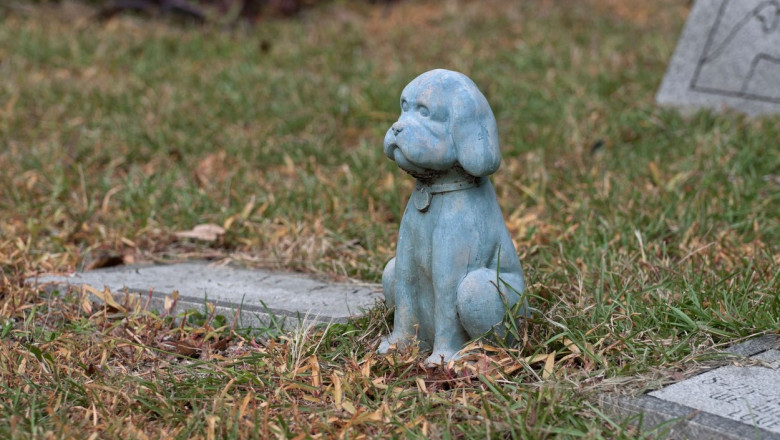 The Garden of Love pet memorial park and cemetery in Micanopy, Florida.