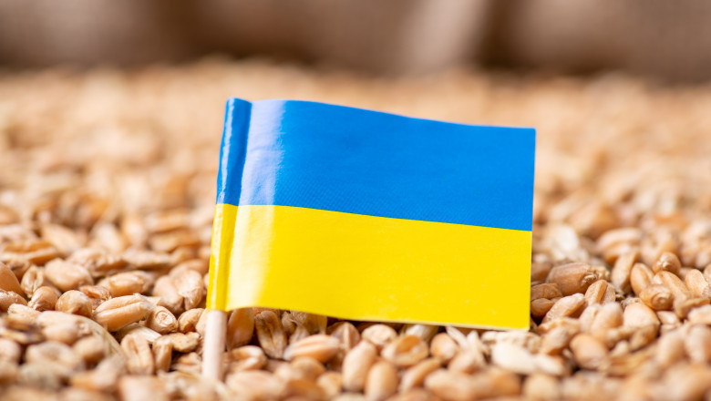 grau cu steagul ucrainei in mijloc