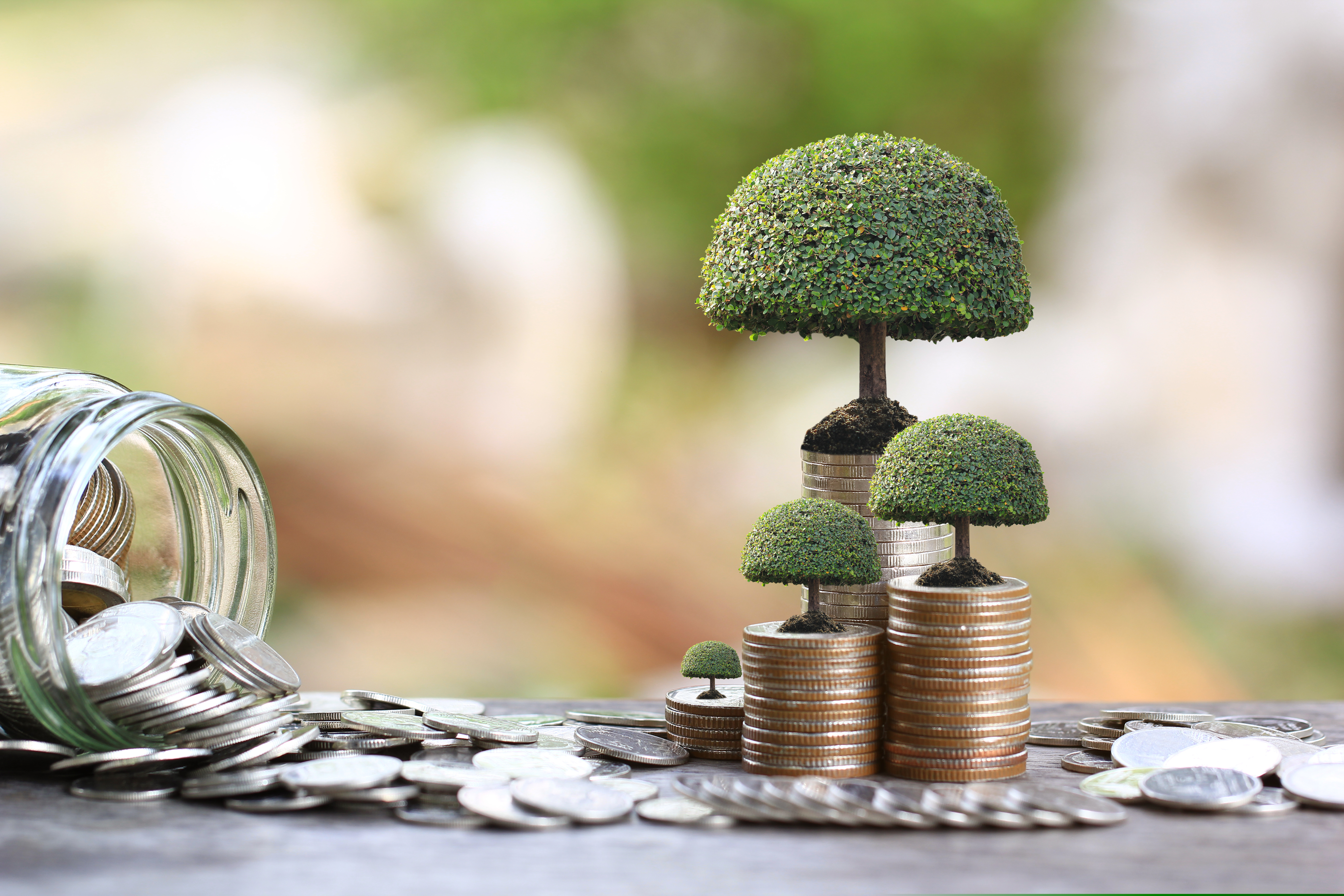 România a început să emită primele obligaţiuni verzi. Proiectele care vor primi finanțare