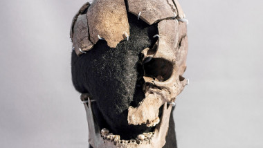 Craniul „Omului din Vittrup”, expus la Muzeul de Istorie a Danemarcei.