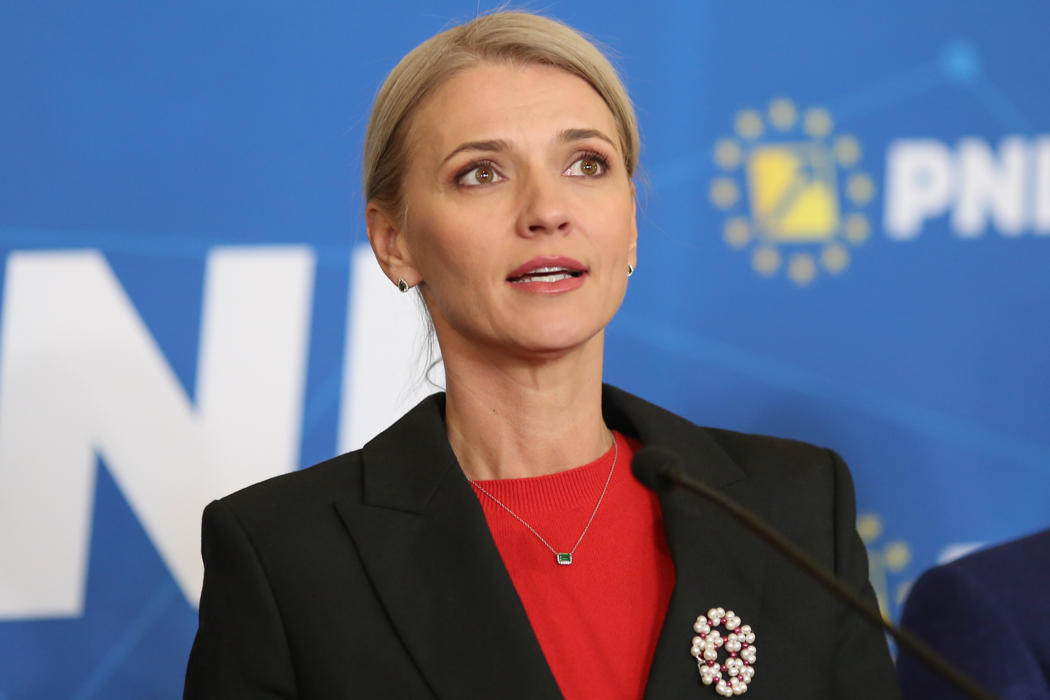 Liderii PNL dau asigurări că partidul nu iese de la guvernare, chiar dacă va avea loc sau nu comasarea alegerilor europarlamentare
