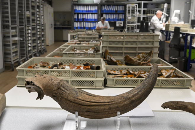 Mammoth Bones Discovered On Metro 3 Construction Site BRUSSELS, BELGIUM - FEBRUARY 16 : Press visit by Brussels State Se