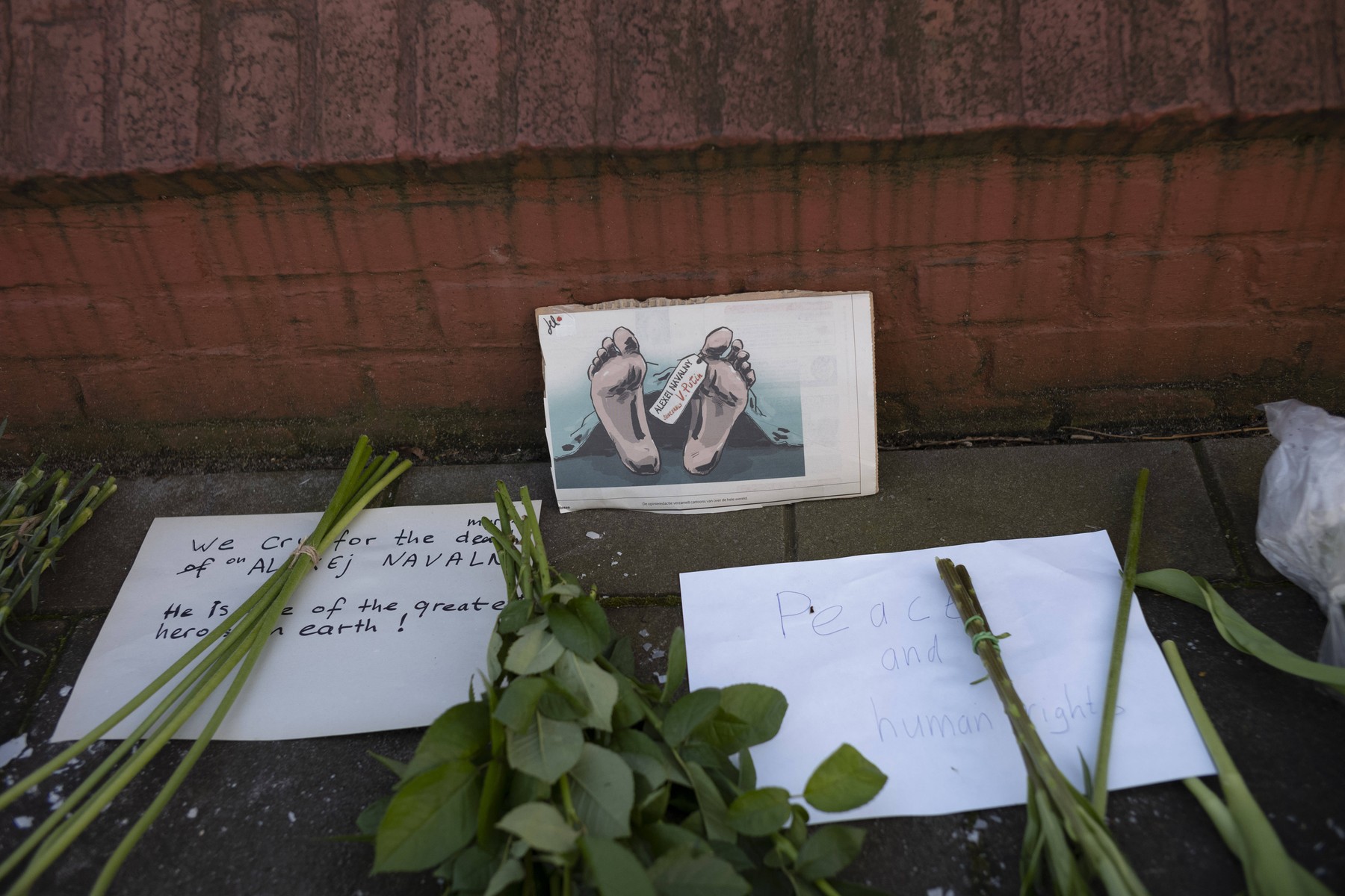 Novaia Gazeta: Noi dezvăluiri despre cadavrul lui Navalnîi. Trupul este păzit de poliție, iar medicii nu au voie să facă autopsia