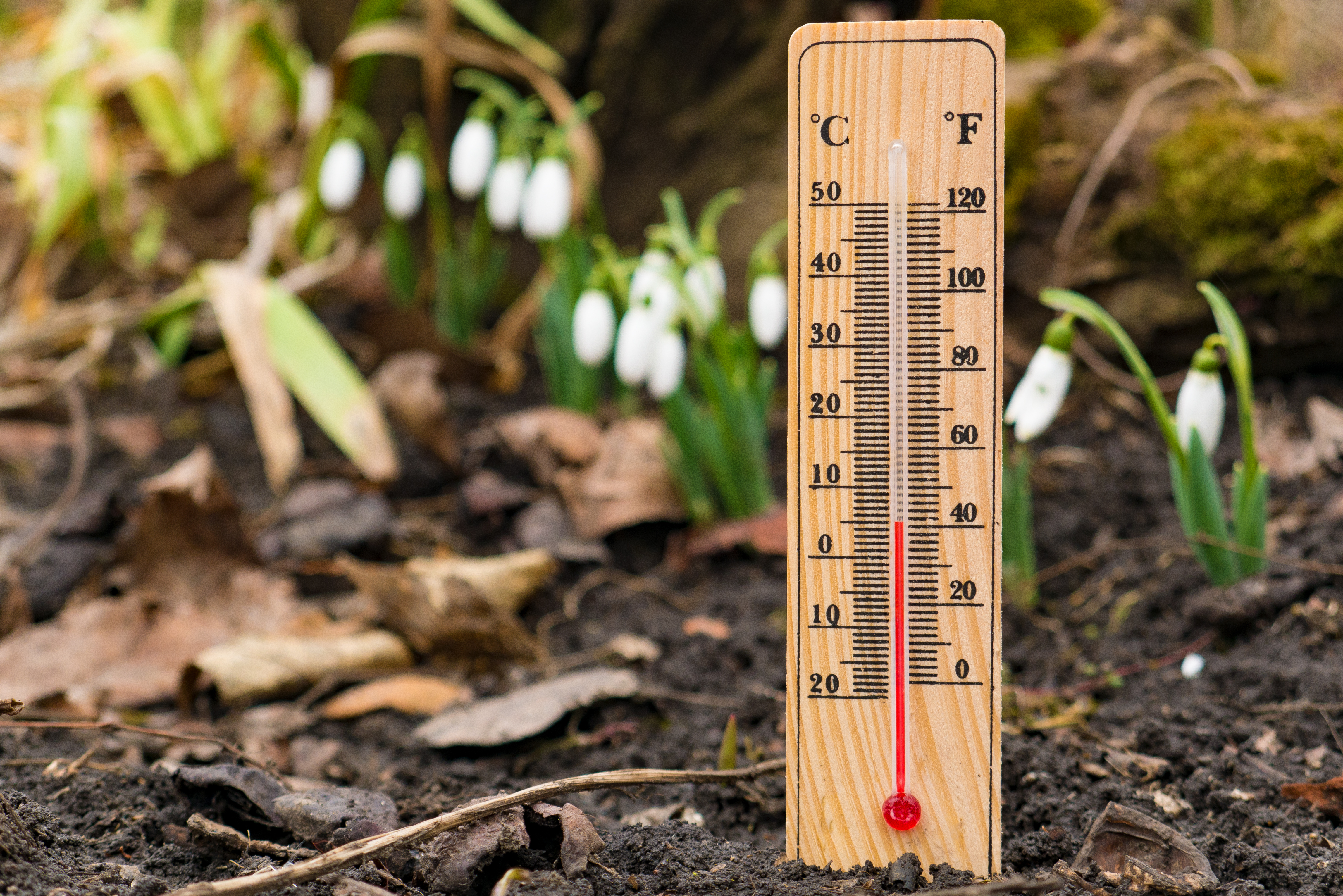 Vremea se încălzește, dar vin ploile. Prognoza meteo pentru perioada 19 februarie - 3 martie, pe regiuni