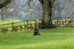 King Charles And Queen Camilla At The Morning Service At St Mary Magdalene Church In Sandringham, Norfolk, On Sunday Morning - 11th Feb 2024