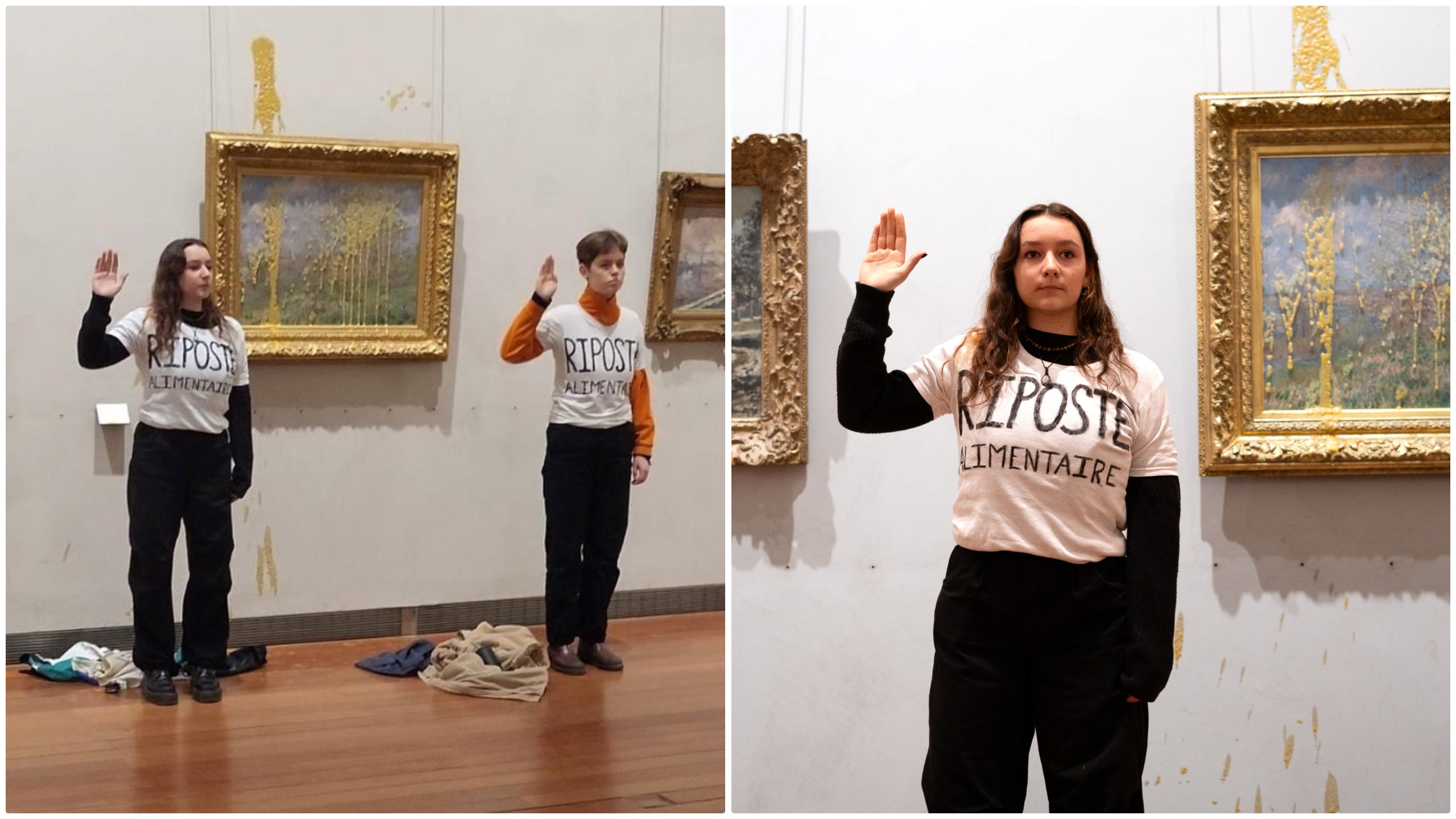Două activiste de mediu au aruncat cu supă pe un tablou de Claude Monet la Muzeul de Arte Frumoase din Lyon