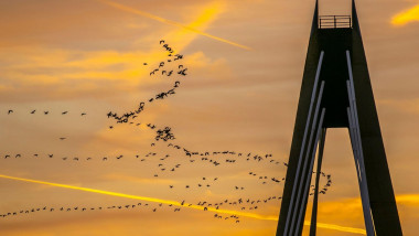 Southport, Merseyside. 4th Jan, 2020. UK Weather; Colourful sunrise as migratory pink-footed geese take flight at dawn over the town centre. The pink-footed goose is perhaps the defining bird species of north-west in winter. It occurs here in cackling flo