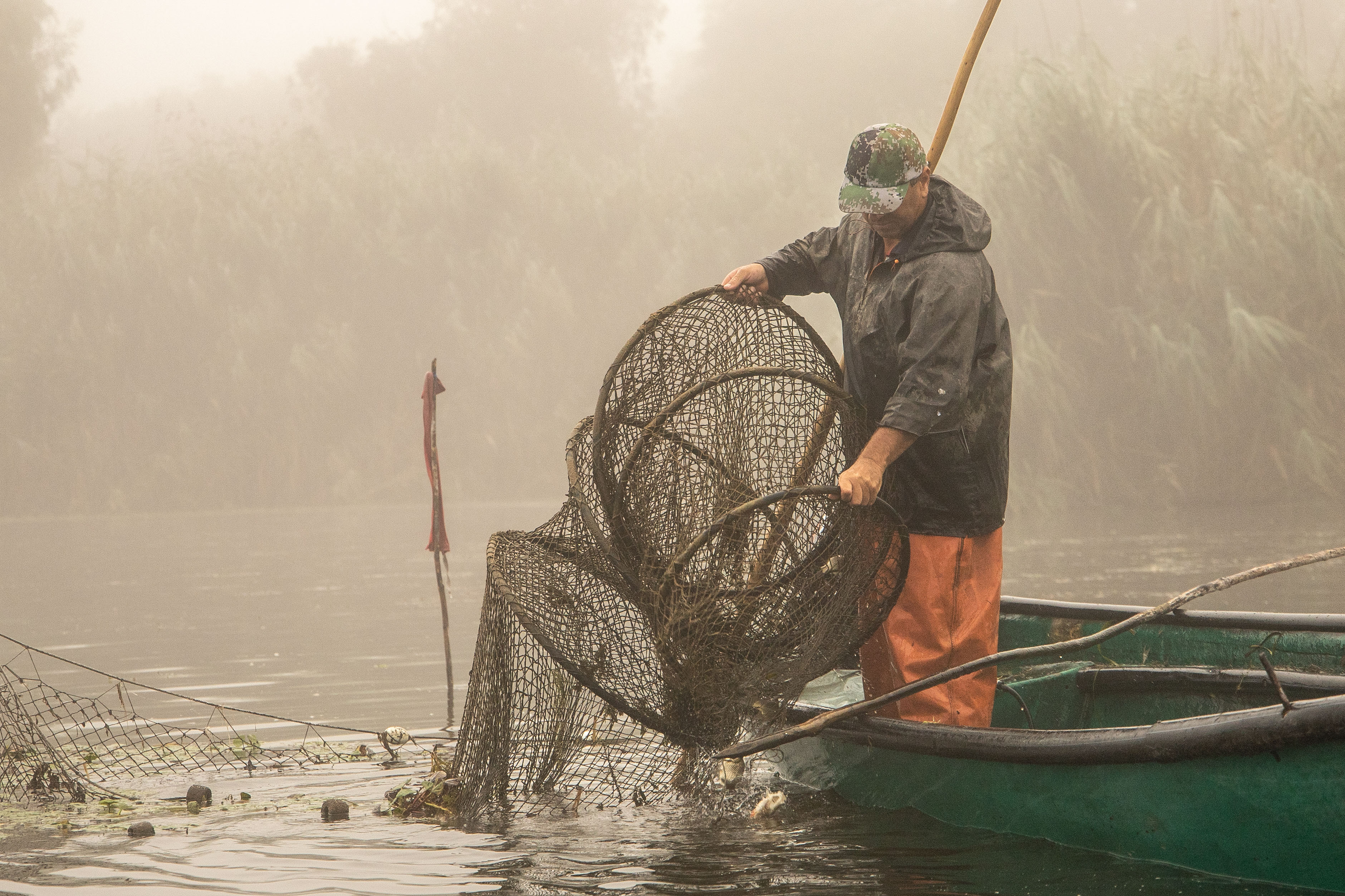 Reguli noi pentru pescari. Unde se poate pescui în Rezervația Biosferei Delta Dunării