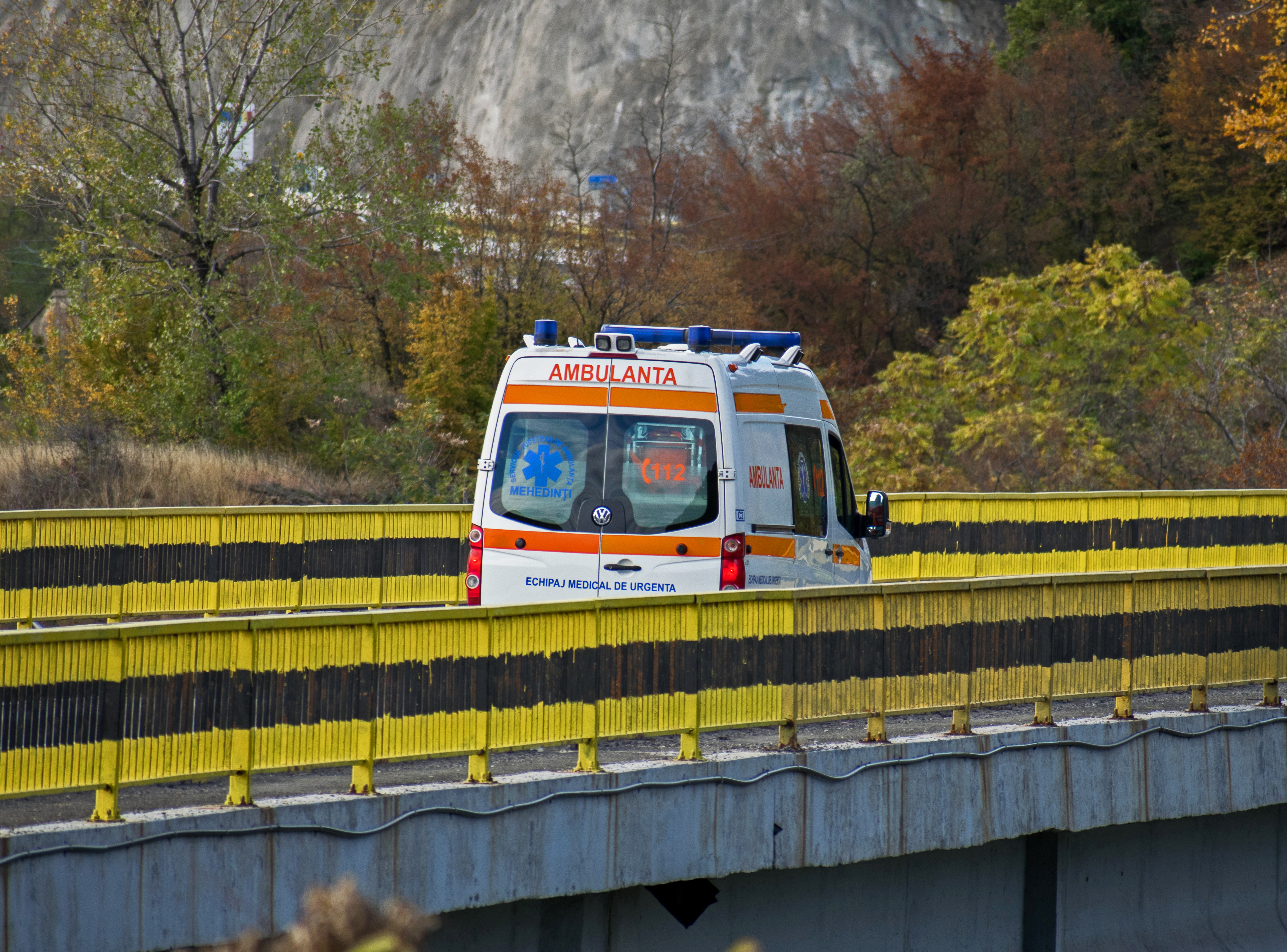 Doi frați, de 28 și 32 de ani, au fost găsiți morți la o stână din Bistriţa-Năsăud