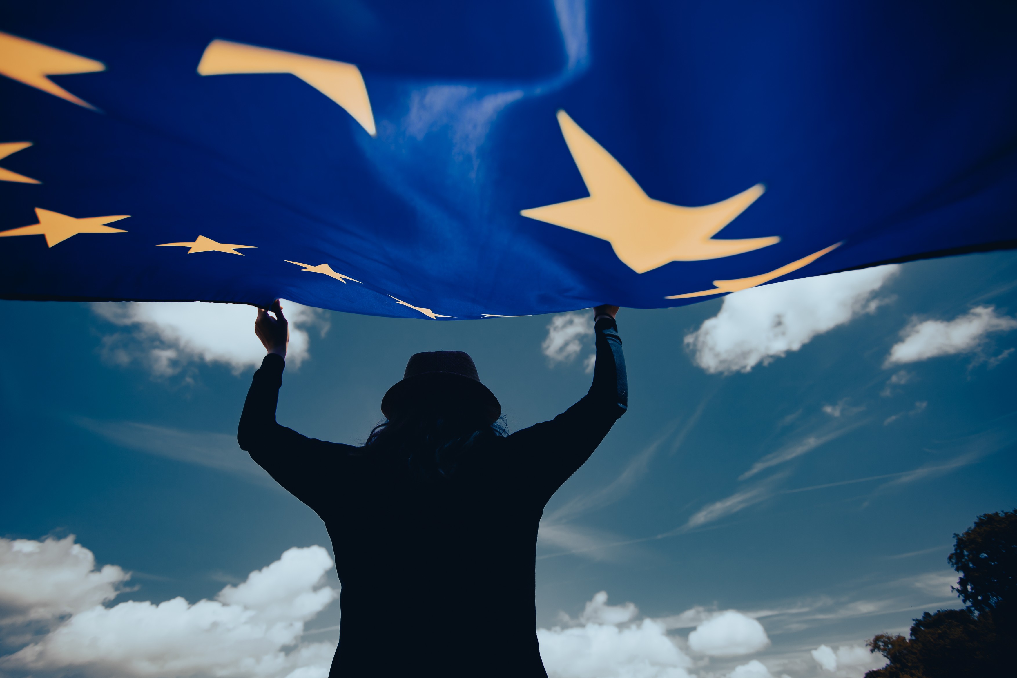 Reguli noi în UE pentru publicitatea politică. Platformele online trebuie să marcheze clar anunțurile și să spună cine a plătit reclama
