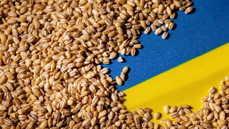 grau pe un steag al ucrainei