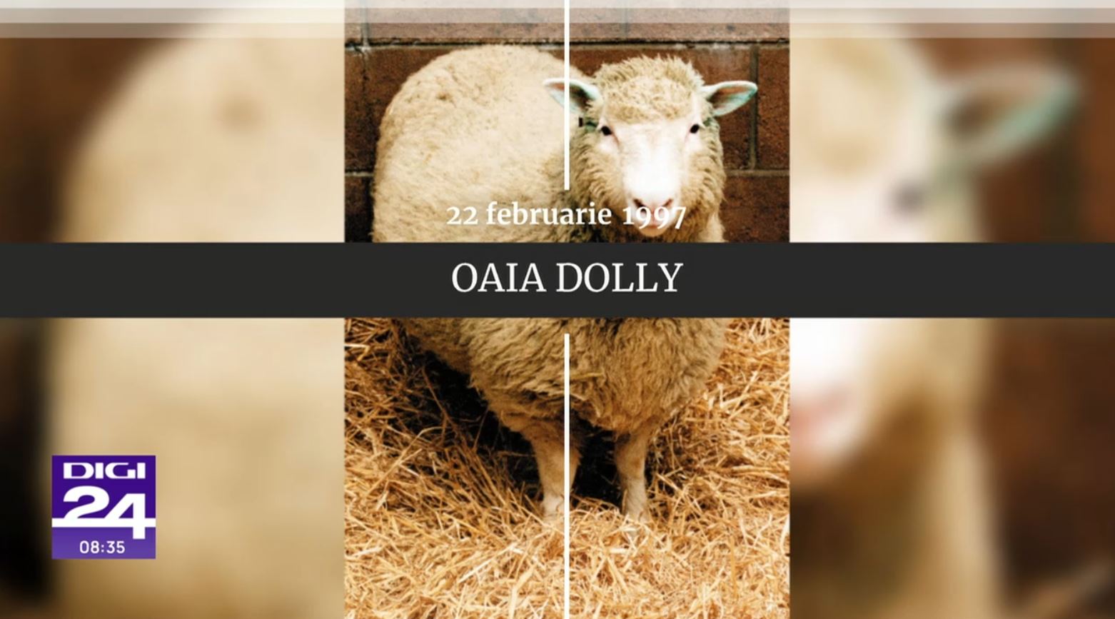 Digistoria – cele mai importante evenimente petrecute pe 22 februarie